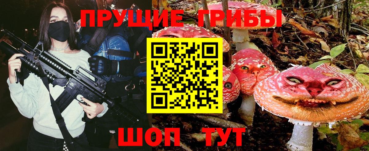 Псилоцибиновые грибы Cubensis Торжок