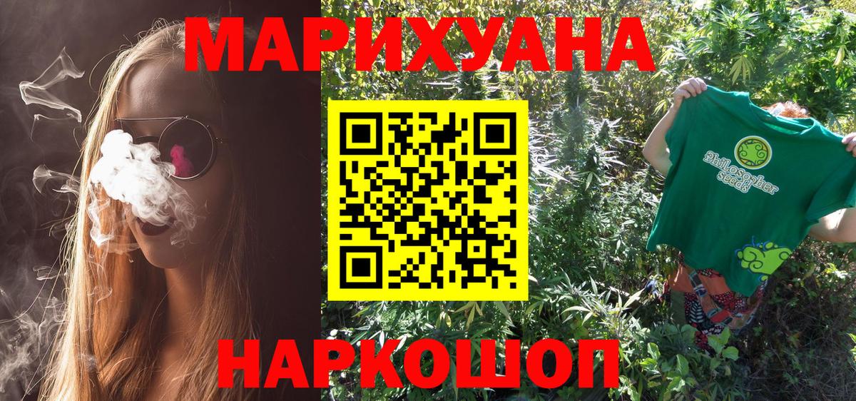 Конопля сатива Торжок